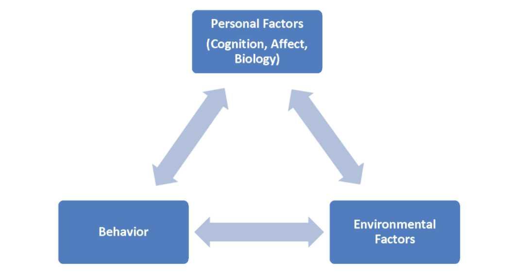 Social cognitive theory discount framework