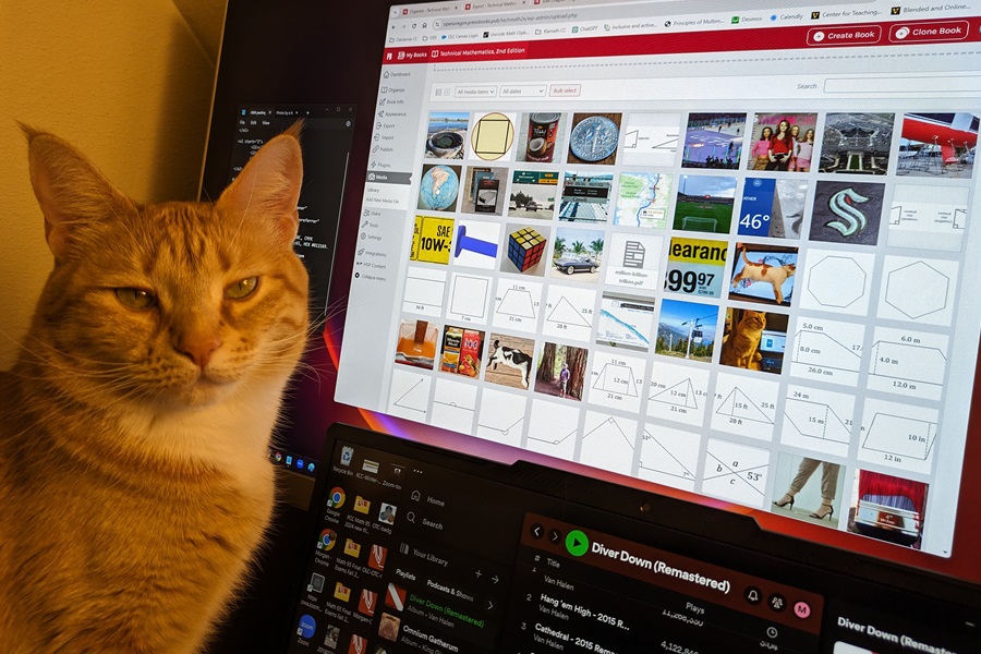 an orange cat next to a computer where this book is being edited