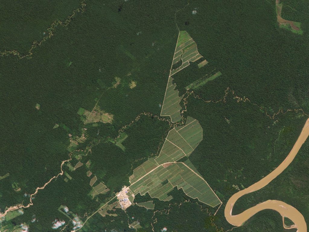 Aerial photograph of the rainforest with a clear boundary where humans have caused deforestation.