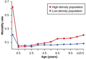 Line graph shows that starting at age 2.5, a high-density population has an increased risk of mortality compared to a low-density population. The trend is more exaggerated in the oldest individuals (up to age 10.5)