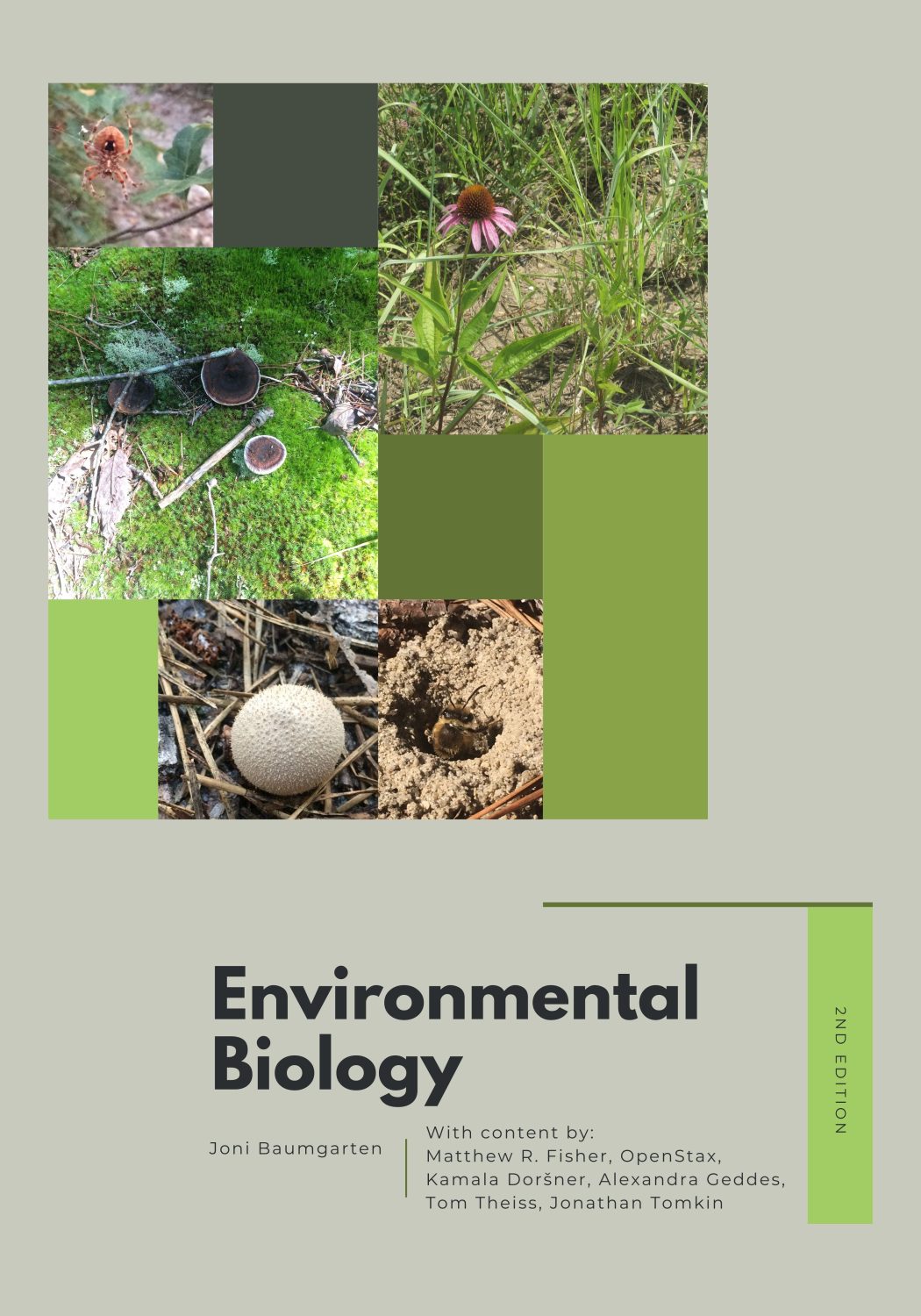 Cover image for Environmental Biology