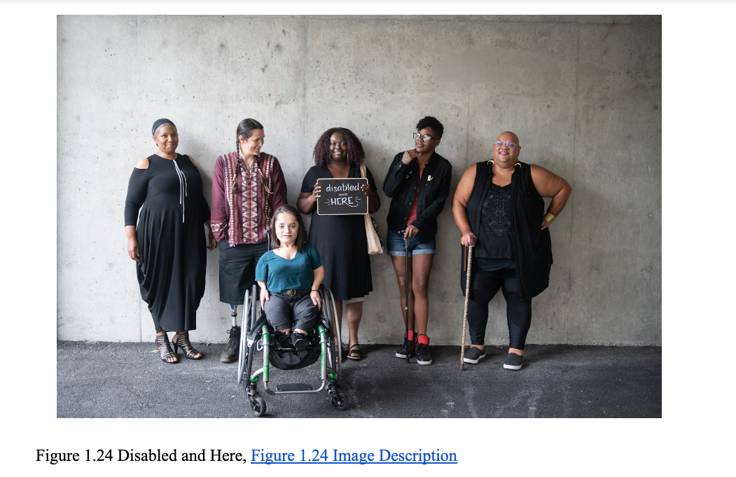A screenshot of a figure number, figure caption, image of disabled people of color and image description