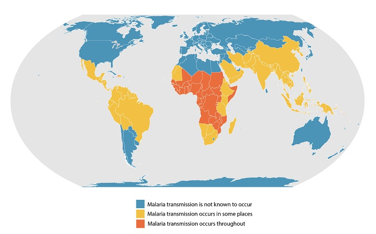 Data shows where Malaria transmission is not known to occur, where it occurs, and where it occurs throughout.