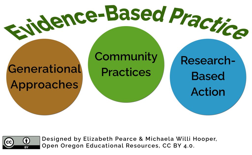 Evidence-Based Practice arcs over three bubbles like an umbrella. The bubbles are labeled Generational approaches, Community practices, and Research-based action.