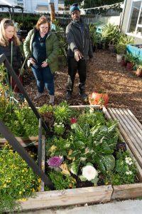 Two white woman standing with Black man who is gesturing at raised bed garden of vegetables