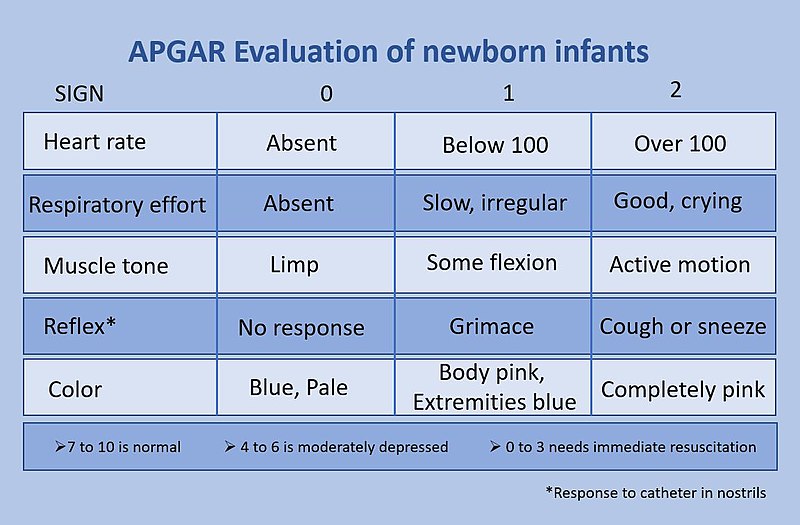 An APGAR Evaluation table, containing values for heart rate (absent, below 100, over 100), respiratory effort (absent, slow/irregular, or good/crying), muscle tone (limp, some flexion, active motion), reflex response to catheter in nostrils (no response/grimace/cough or sneeze), and color (blue/pale, body pink extremities blue/completely pink).