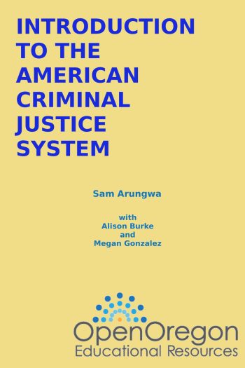Cover image for Introduction to the American Criminal Justice System