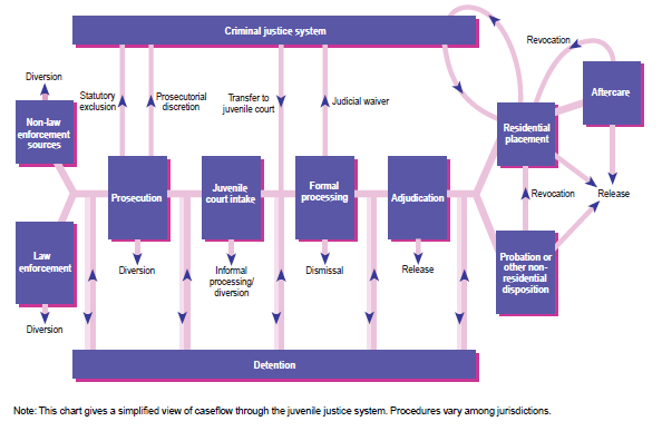 An example criminal justice system flow chart showing diversion points within the system.