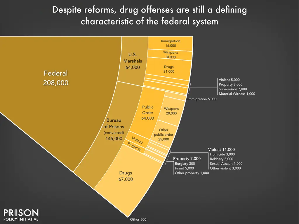 A portion of a pie chart showing the number of individuals incarcerated in the Federal system and their charge breakdown.
