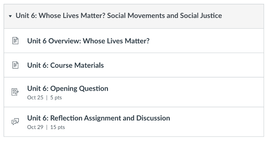 A module template for a course unit, including overview, course materials, opening question assignment, and discussion