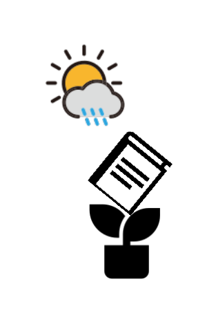 A potted plant with a book instead of a flower is nourished by sun and rain.