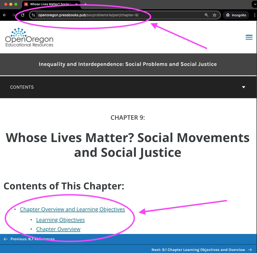 Unique urls are located at the top of a chapter landing page as well as listed within the landing page itself