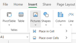 Place in Cell or Place over the Cells