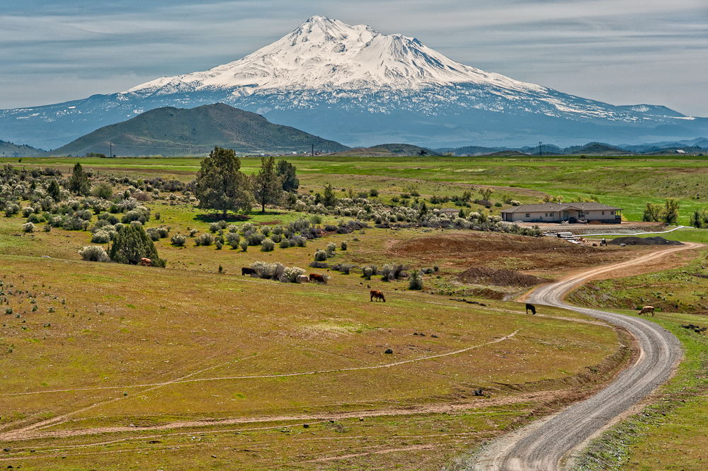 valley with a road snaking through it and some small trees. A mountain covered with snow is in the background.