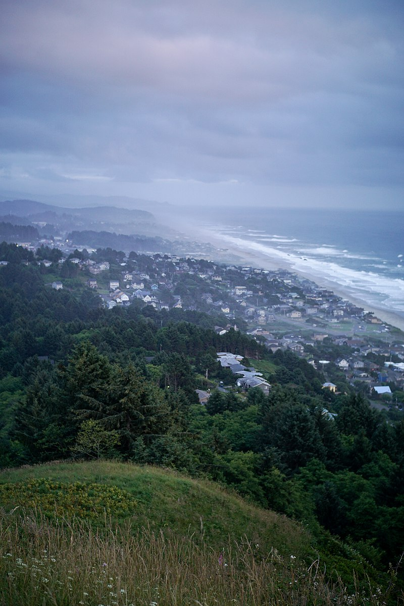 hills that are covered with grass and fir trees slopes down ti some houses and buildings on the edge of the pacific ocean.