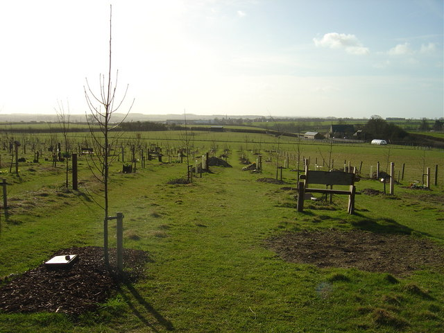 a large green field has burial sites covered in wood chips. Each site has a young tree planted in it.
