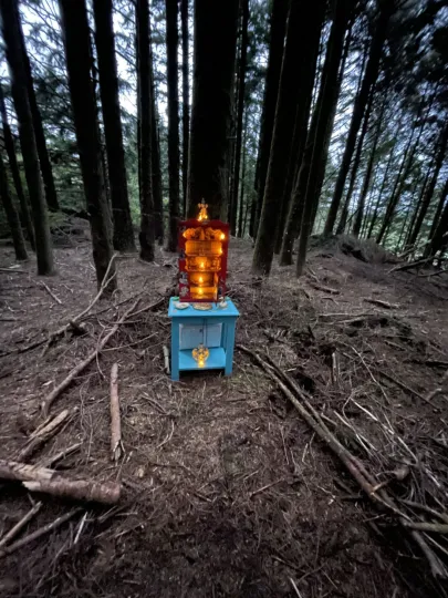 a small wooden altar painted light blue with a wooden box lit with electric candles in the woods