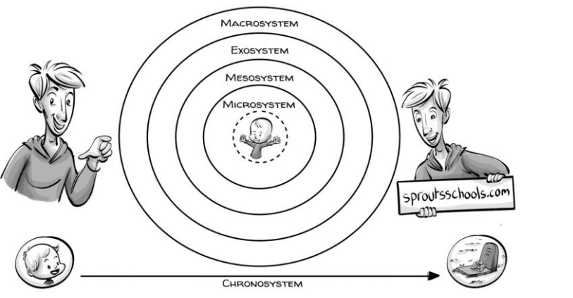 The chronosystem is a human lifespan. Concentric circles represent the microsystem, mesosystem, exosystem, and macrosystem.