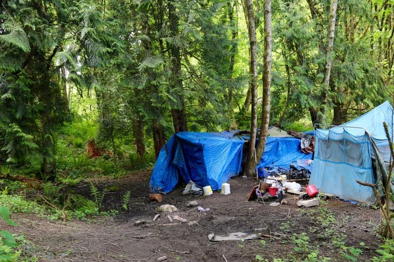 Photo of a camp in the woods made of tents and tarps, with personal belongings visible on the ground.