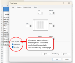 Page Setup dialog box showing Center on Page Options