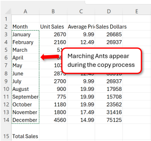 Marching Ants Display During the Copy Process