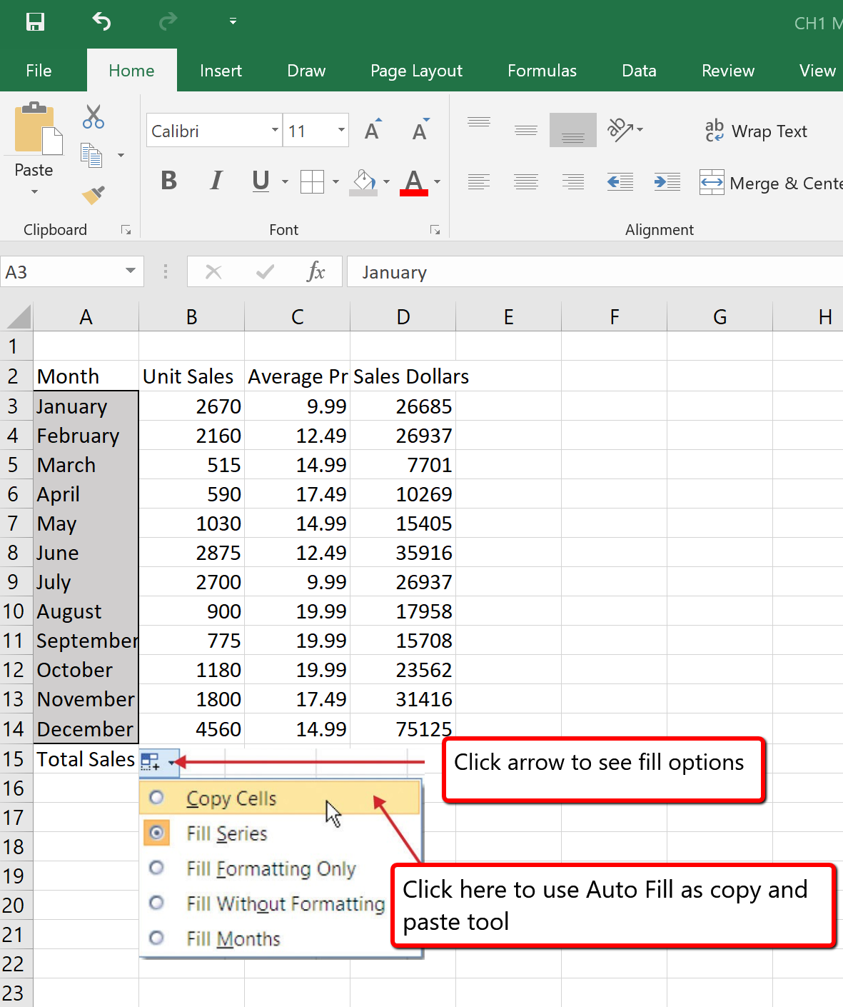 12 months appear in cell range A3:A14. Auto Fill Options Button includes Copy Cells, Fill Series, Fill Formatting Only, Fill Without Formatting and Fill Months.