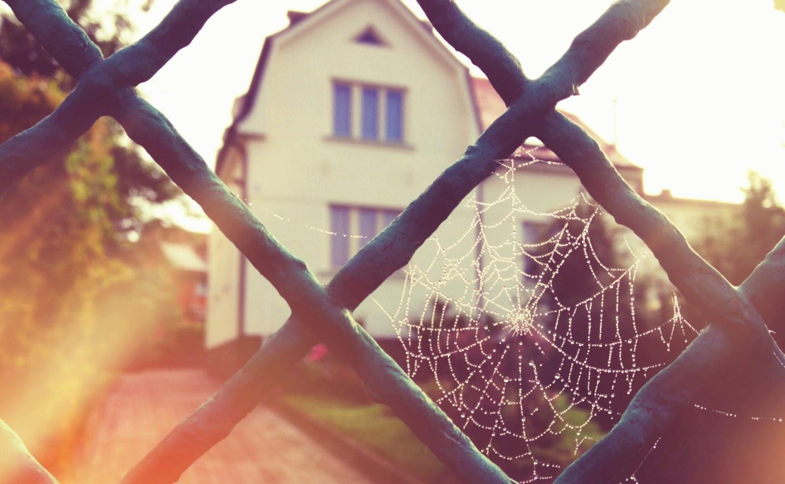 house through a chainlink fence