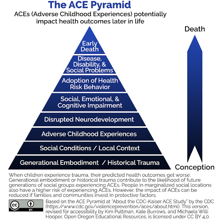 The ACE pyramid infographic. Image Description Available.