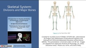 Cover Image for Skeltal Slide Deck Lesson 2