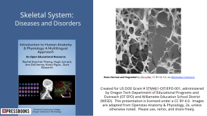 Cover image for skeletal slidedeck lesson 3