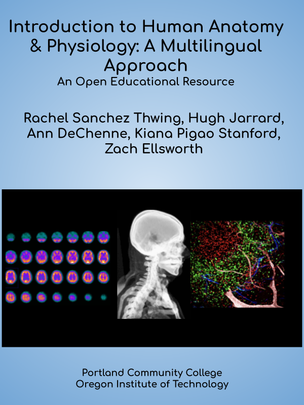 Cover image for Introduction to Human Anatomy & Physiology: A Multilingual Approach