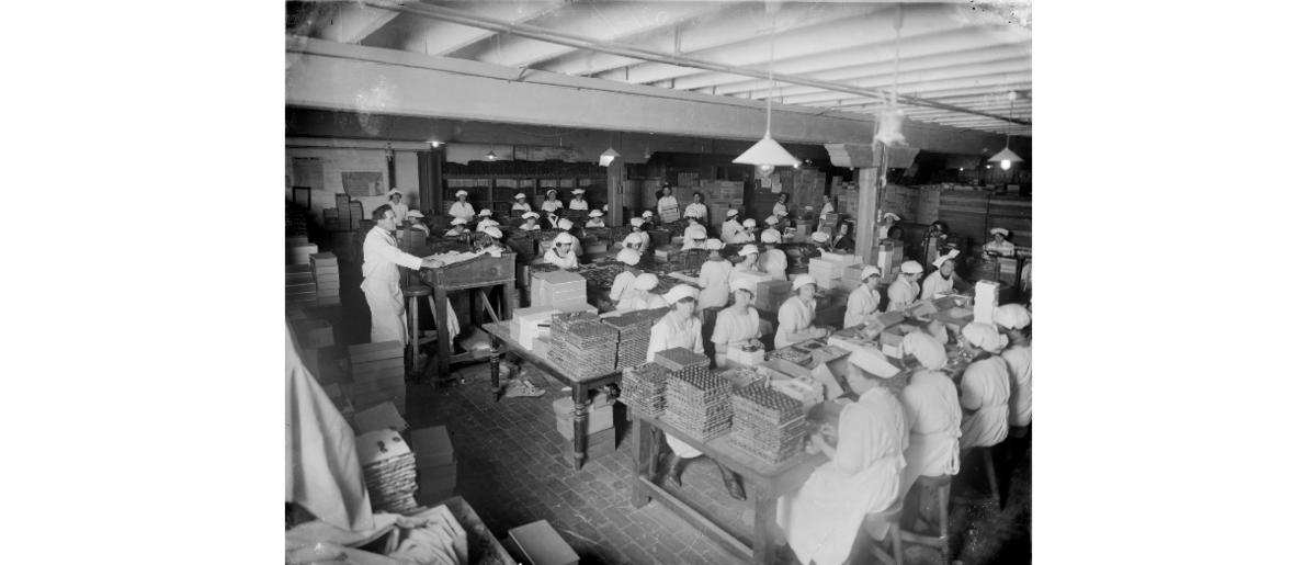 The inside of a building with long tables. Women dressed in white uniforms are seated at the tables packing boxes. Center left is a man standing, most likely managing the operation.