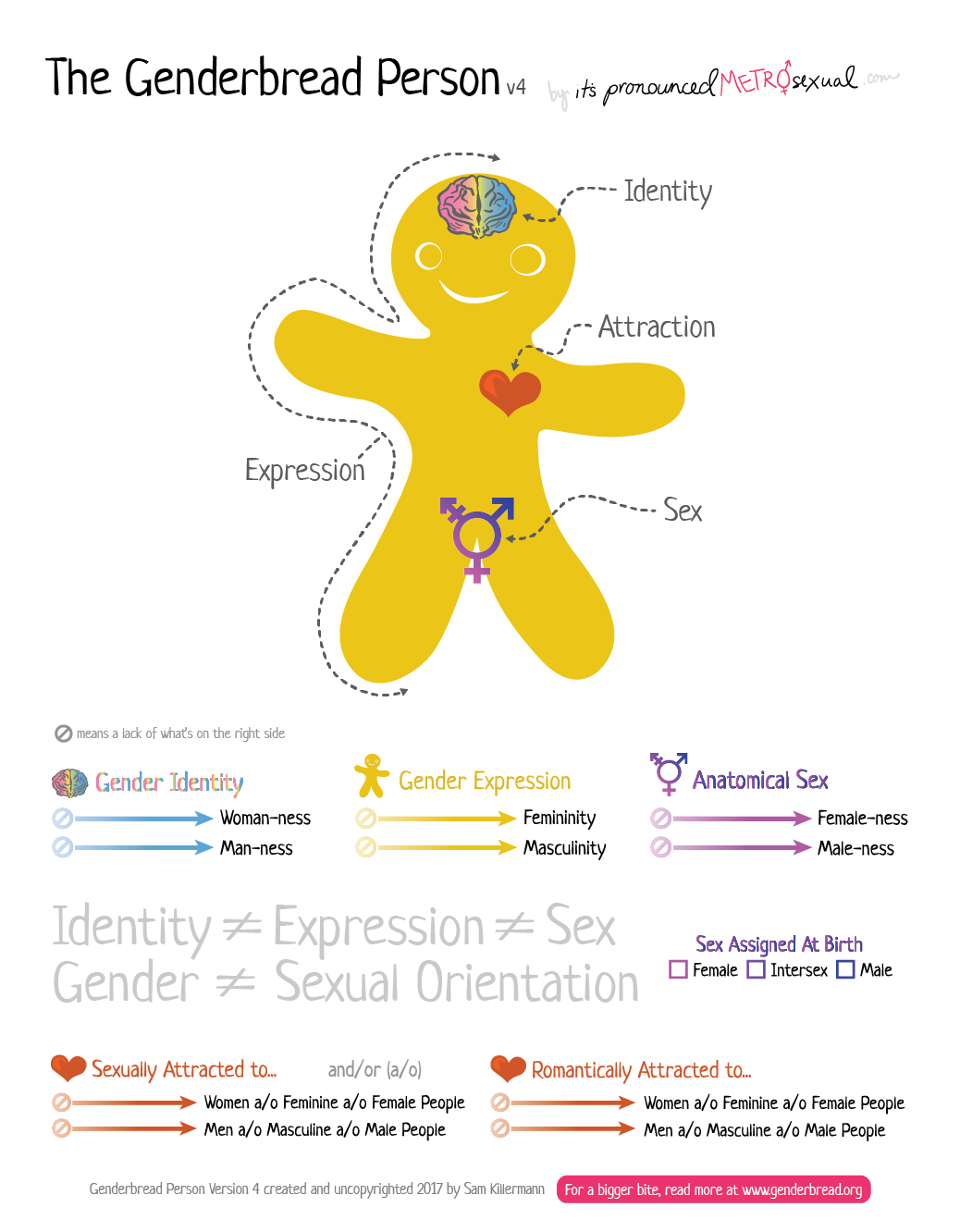 A drawing of a person that locates identity in the brain, attraction in the heart, sex in the genitals, and gender expression as a entire body presentation.