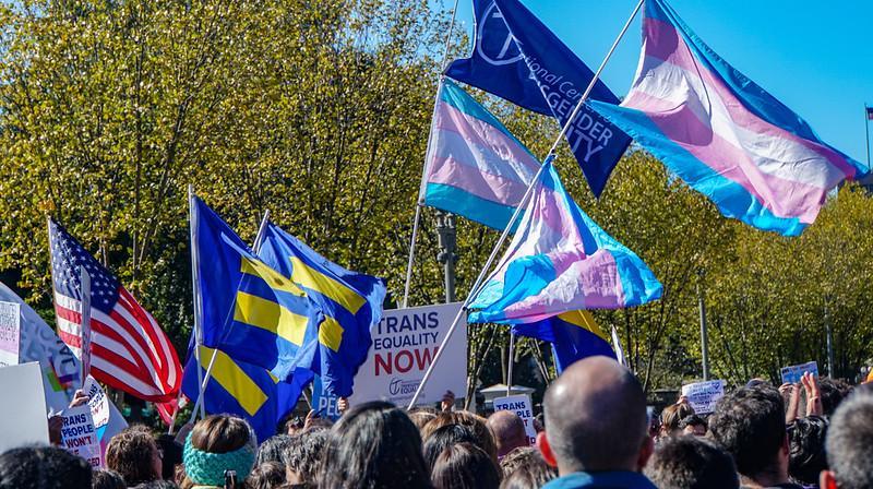 A view of a protest with American Flag, equality flags, and trans flags, as well as signs that say "trans equality now."