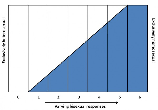 A bar graph with 0 to 6 on the X-axis labeled "Varying bisexual responses." The left side of the graph is labeled "Exclusively heterosexual," and the right is labeled "Exclusively homosexual." A blue shaded area shows an increase in bisexual responses towards the "Exclusively homosexual" side.