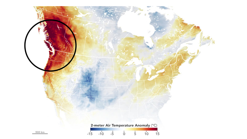 Map of the United States, showing that Oregon, Washington, and British Columbia had temperatures 10 to 15 degrees above normal in June 2021. The Northwest is in red to dark red.