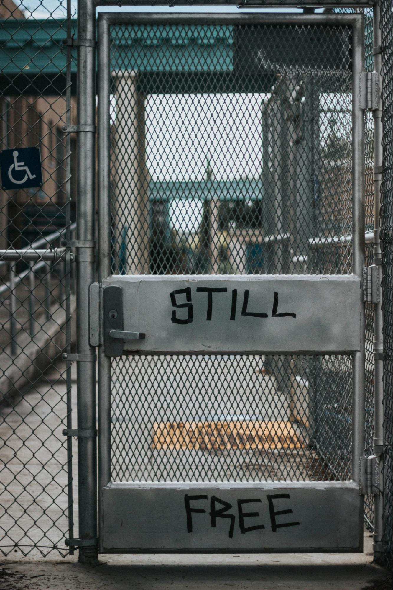 a closed metal door with the words “still free” written on it.