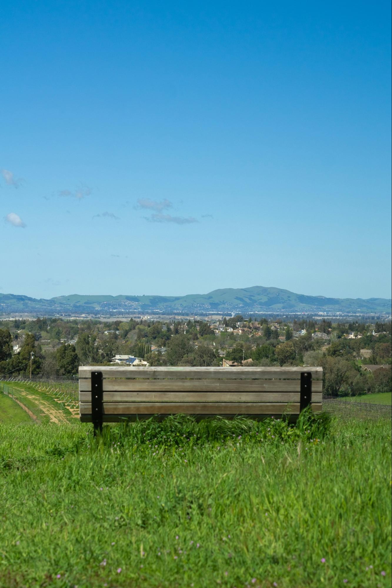 A bench on a grassy hill overlooking trees and mountains in the distance