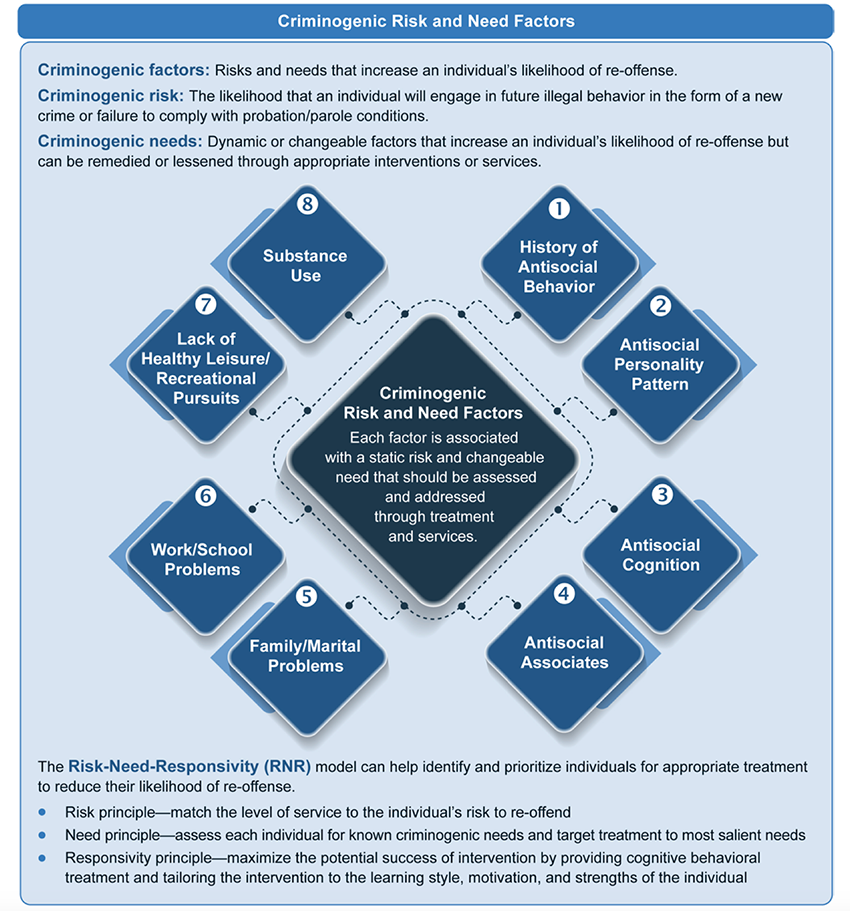 A graphic displaying the 8 primary criminogenic risk factors that contribute to overall criminogenic risk and need that inform treatment levels.