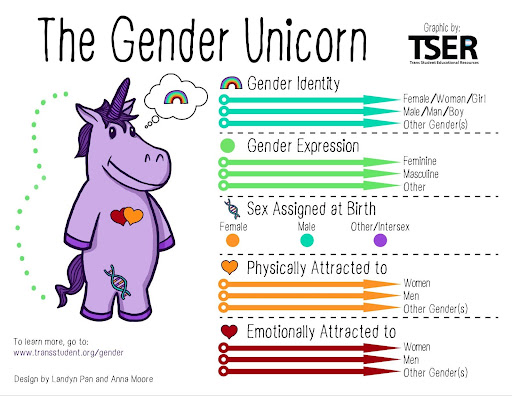 An infographic of purple unicorn used to educate people about gender diversity.