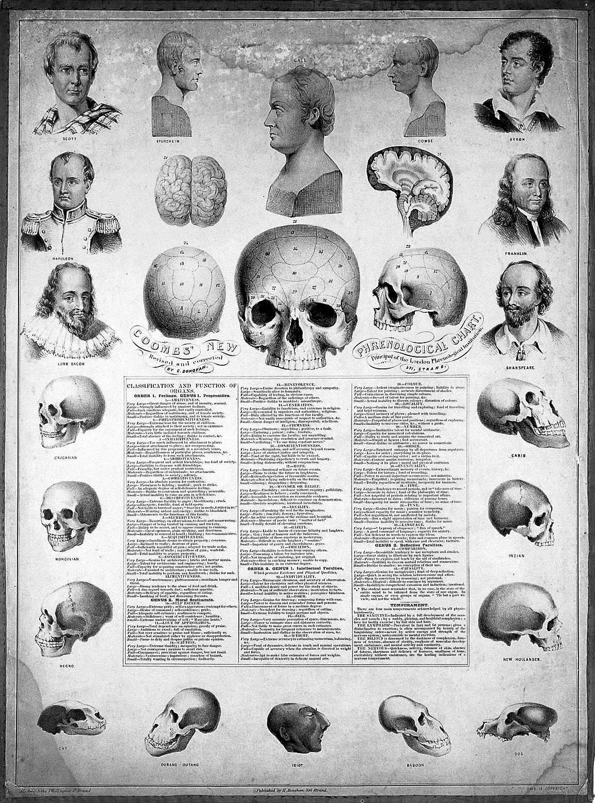 Phrenological chart with illustrations of historical figures and skulls.