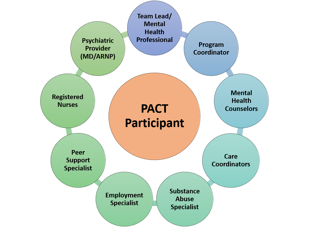 Central circle: PACT Participant. Circles in outer ring: team lead/mental health professional, program coordinator, mental health counselors, care coordinators, substance abuse specialist, employment specialist, peer support specialist, registered nurses, psychiatric provider (MD/ARNP).