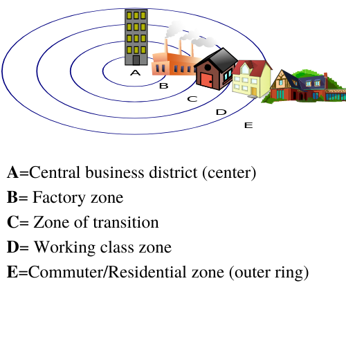 Figure 5.5. Concentric Zones - Urban Social Structures as Defined by Sociologist Ernest Burgess. An image showing four concentric circles noting the central business district in the center, the Factory zone in the second circle, the Zone of transition in the third circle, the working class zone in the fourth circle and the commuter/residential zone outside the circle.
