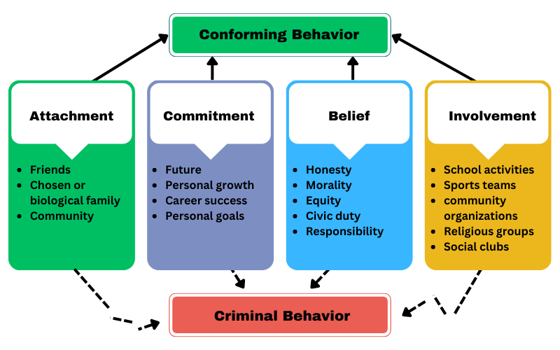 Diagram showing attachment, commitment, belief, and involvement, which lead to conforming or criminal activity. Image Description Available.