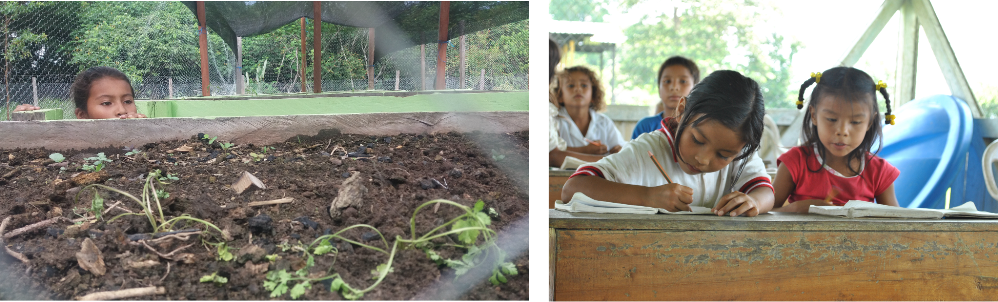 A child peers into a garden box in Colombia. Students on a Kichwa Reservation in Putumayo studying at desks.