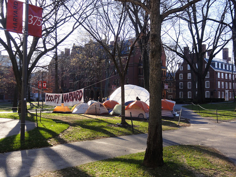 Tent encampment with a sign reading "Occupy Harvard" set up on the campus grounds