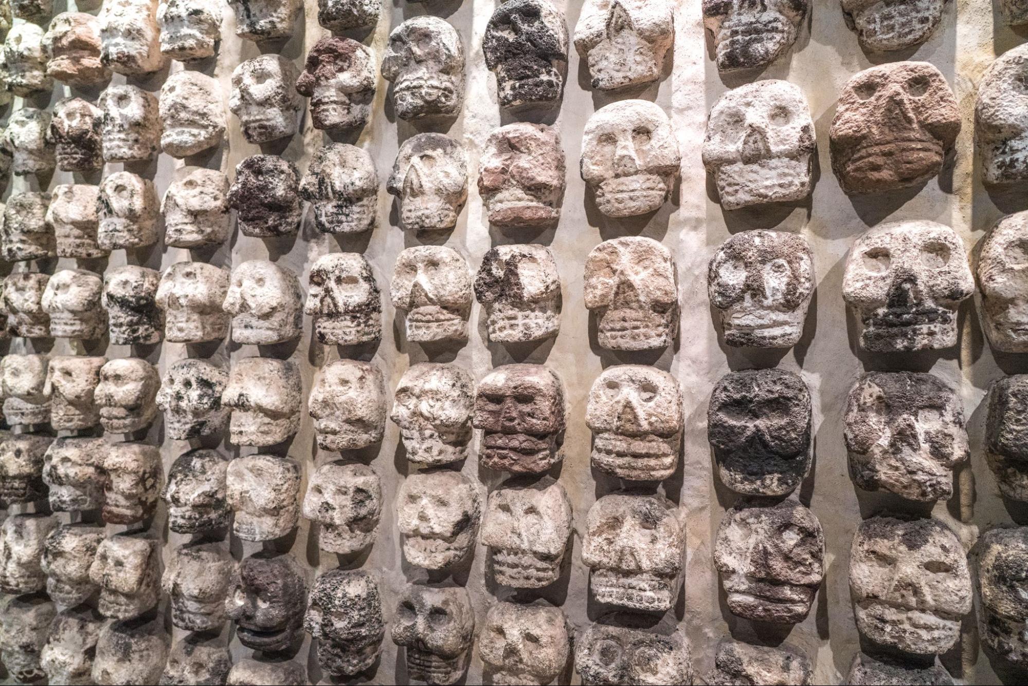 A wall lined with earthen colored sculptures of skulls