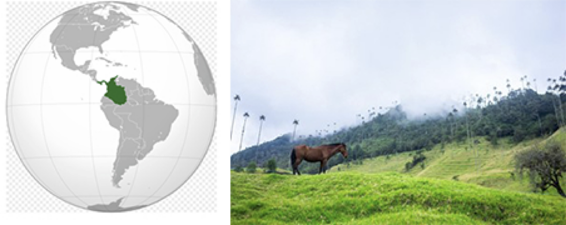 Left The Earth in globe form and Colombia is in color while other countries are in gray scale. Right a horse grazing in a green pasture.
