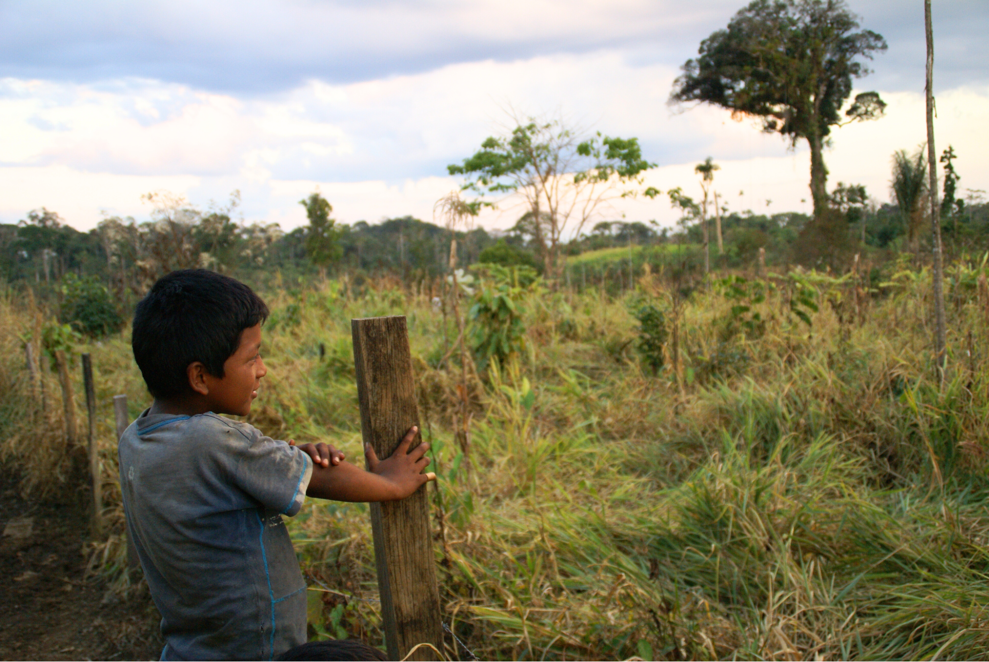 a boy stands leaning against a fence post observing a green field