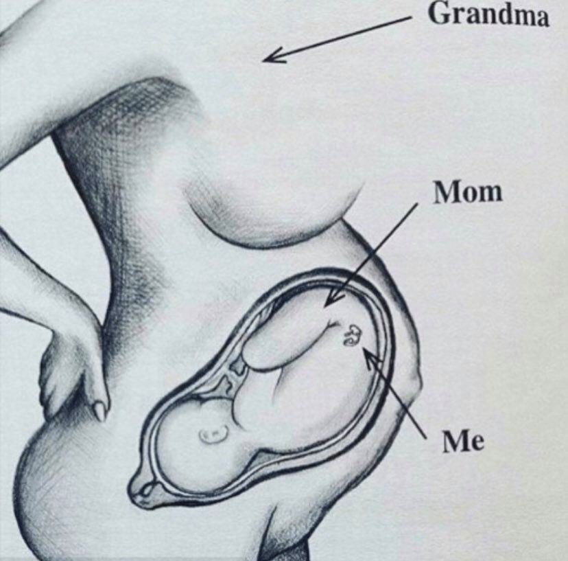 A drawing of a pregnant figure and a fetus with text pointing at figure: "Grandma", "Mom" at fetus and "Me" at fetus